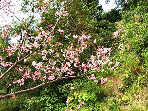 Image00049.jpg
