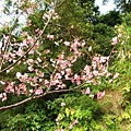 Image00049.jpg