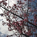 Image00050.jpg