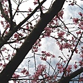 Image00052.jpg