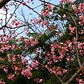 Image00053.jpg