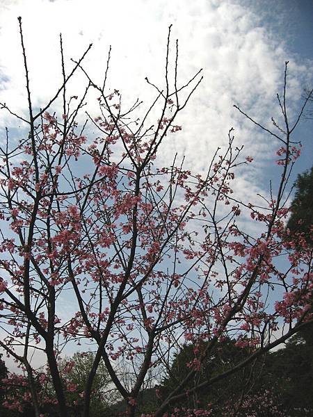 Image00055.jpg
