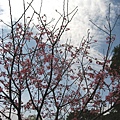 Image00055.jpg