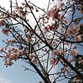 Image00057.jpg
