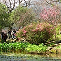 Image00064.jpg