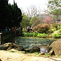 Image00065.jpg