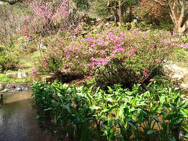 Image00066.jpg