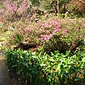 Image00066.jpg