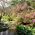 Image00067.jpg