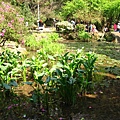 Image00068.jpg
