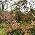 Image00069.jpg