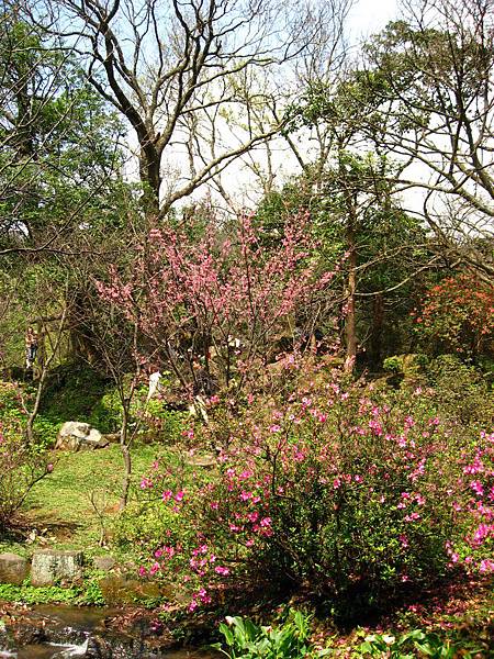 Image00070.jpg