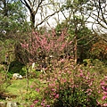 Image00070.jpg