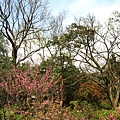 Image00071.jpg