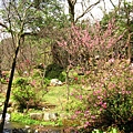 Image00072.jpg