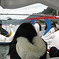 Image00037.jpg