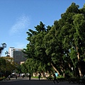 Image00027.jpg
