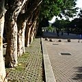 Image00028.jpg