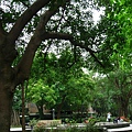 Image00062.jpg