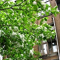 Image00083.jpg
