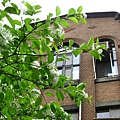 Image00084.jpg