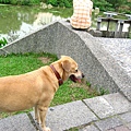 Image00088.jpg
