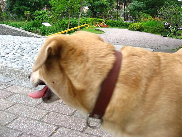 Image00089.jpg