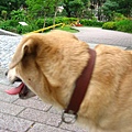 Image00089.jpg