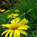 Image00091.jpg
