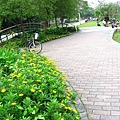 Image00096.jpg