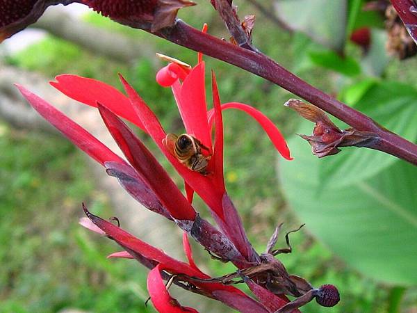 Image00098.jpg