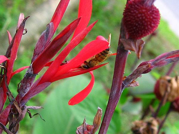Image00099.jpg