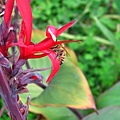 Image00100.jpg