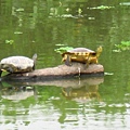 Image00102.jpg