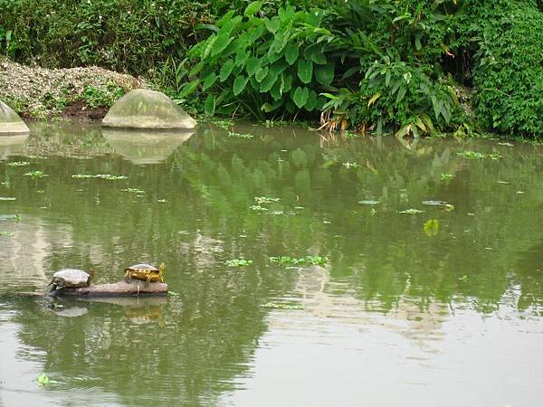 Image00103.jpg