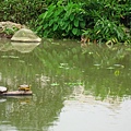 Image00103.jpg