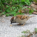 Image00105.jpg
