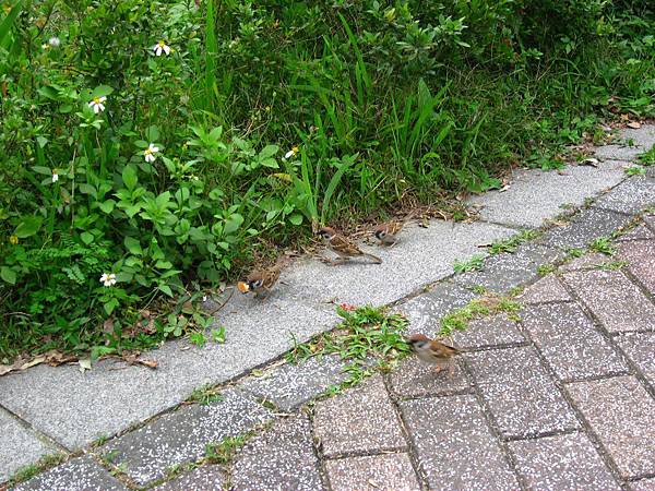 Image00107.jpg