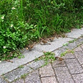 Image00107.jpg