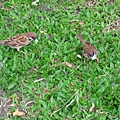 Image00108.jpg