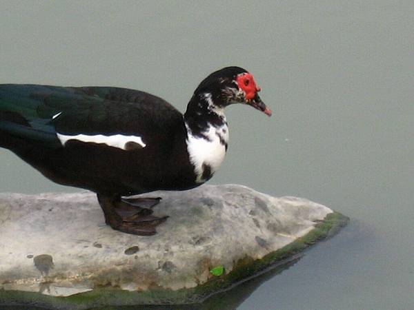 Image00110.jpg