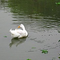 Image00112.jpg