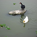 Image00114.jpg
