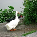 Image00118.jpg