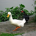 Image00119.jpg