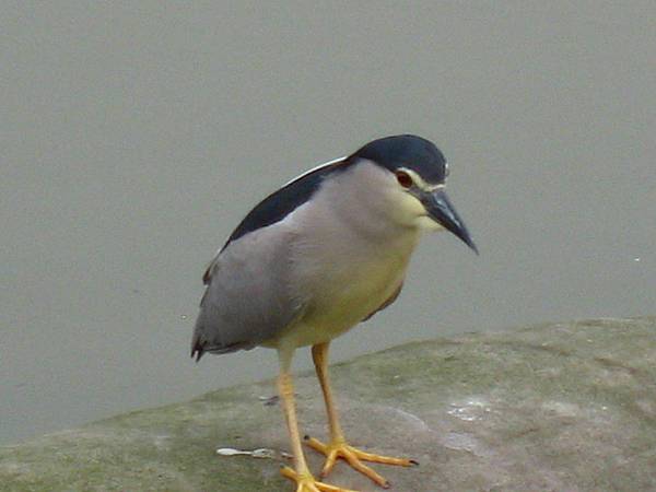 Image00121.jpg