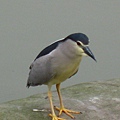 Image00121.jpg