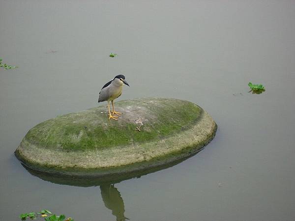 Image00122.jpg