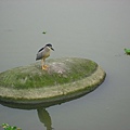 Image00122.jpg