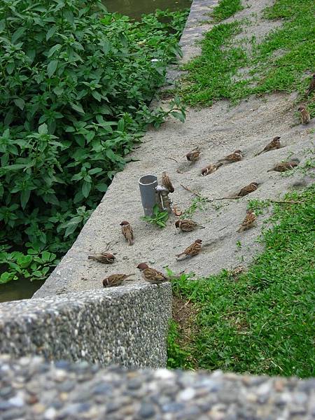 Image00124.jpg